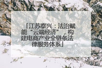 江苏泰兴：法治赋能“云端经济”，构建电商产业全链条法律服务体系