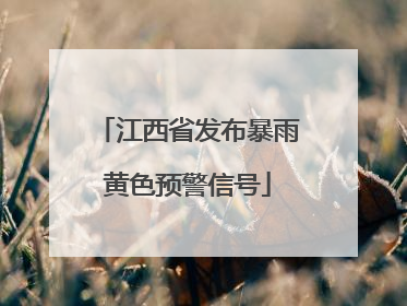 江西省发布暴雨黄色预警信号