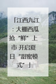 江西九江：大棚西瓜抢“鲜”上市 开启夏日“甜蜜模式”