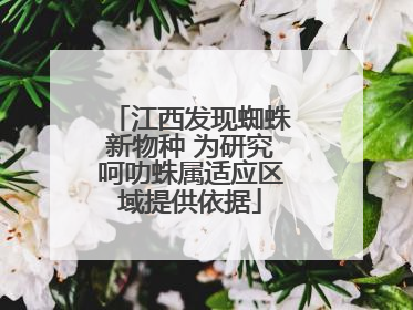 江西发现蜘蛛新物种 为研究呵叻蛛属适应区域提供依据