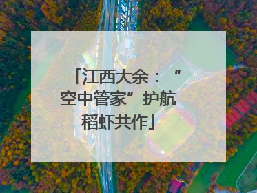 江西大余：“空中管家”护航稻虾共作