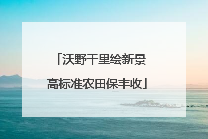 沃野千里绘新景 高标准农田保丰收