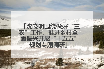 沈晓明围绕做好“三农”工作、推进乡村全面振兴开展“十五五”规划专题调研