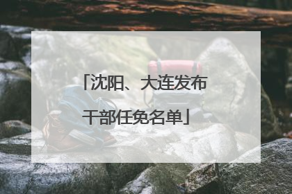 沈阳、大连发布干部任免名单