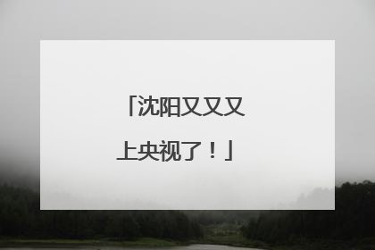 沈阳又又又上央视了！