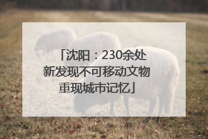 沈阳：230余处新发现不可移动文物重现城市记忆