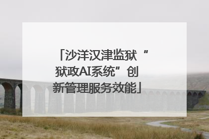 沙洋汉津监狱“狱政AI系统”创新管理服务效能
