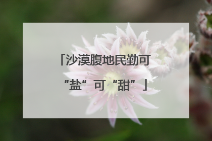 沙漠腹地民勤可“盐”可“甜”