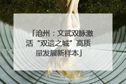 沧州：文武双脉激活“双遗之城”高质量发展新样本