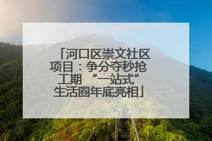 河口区崇文社区项目：争分夺秒抢工期 “一站式”生活圈年底亮相
