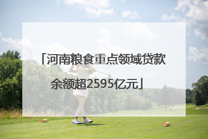 河南粮食重点领域贷款余额超2595亿元