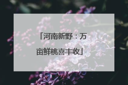 河南新野：万亩鲜桃喜丰收