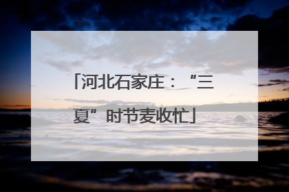 河北石家庄：“三夏”时节麦收忙