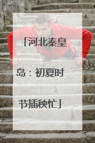 河北秦皇岛：初夏时节插秧忙