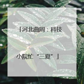 河北曲周：科技小院忙“三夏”