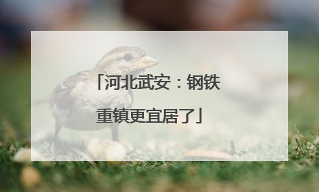 河北武安：钢铁重镇更宜居了