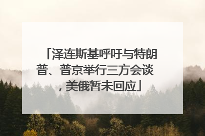 泽连斯基呼吁与特朗普、普京举行三方会谈，美俄暂未回应
