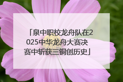 泉中职校龙舟队在2025中华龙舟大赛决赛中斩获三铜创历史