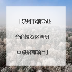 泉州市领导赴台商投资区调研重点招商项目