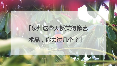 泉州这些天桥美得像艺术品，你去过几个？
