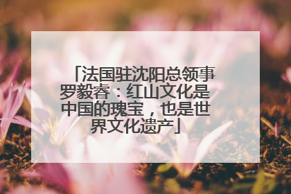法国驻沈阳总领事罗毅睿：红山文化是中国的瑰宝，也是世界文化遗产