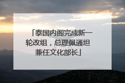 泰国内阁完成新一轮改组，总理佩通坦兼任文化部长