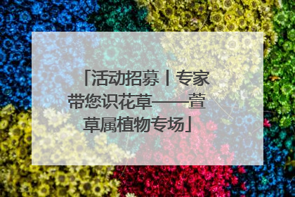 活动招募丨专家带您识花草——萱草属植物专场