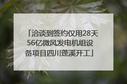 洽谈到签约仅用28天 56亿微风发电机组设备项目四川蓬溪开工