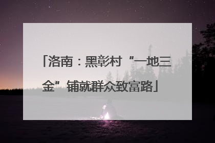 洛南：黑彰村“一地三金”铺就群众致富路