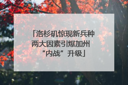 洛杉矶惊现新兵种 两大因素引爆加州“内战”升级