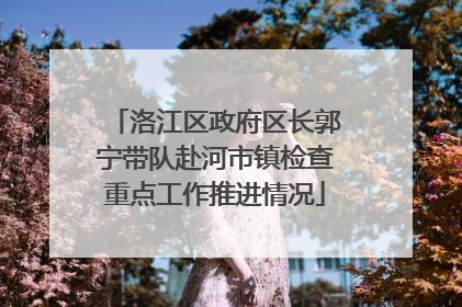 洛江区政府区长郭宁带队赴河市镇检查重点工作推进情况