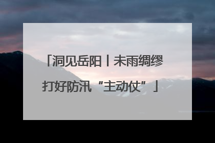 洞见岳阳丨未雨绸缪 打好防汛“主动仗”