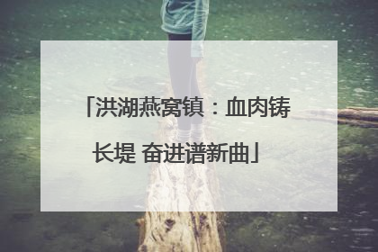 洪湖燕窝镇：血肉铸长堤 奋进谱新曲