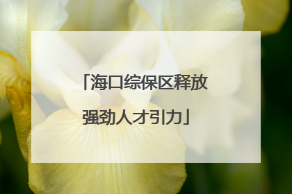 海口综保区释放强劲人才引力