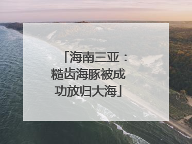 海南三亚：糙齿海豚被成功放归大海