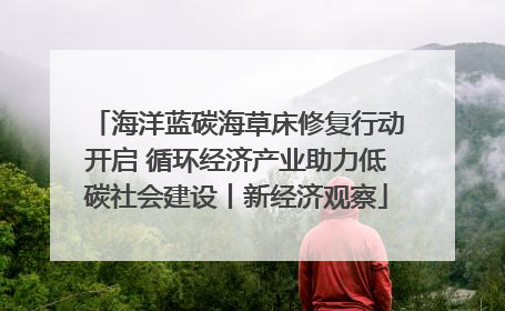 海洋蓝碳海草床修复行动开启 循环经济产业助力低碳社会建设丨新经济观察