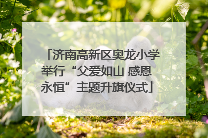 济南高新区奥龙小学举行“父爱如山 感恩永恒”主题升旗仪式