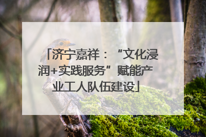 济宁嘉祥：“文化浸润+实践服务”赋能产业工人队伍建设