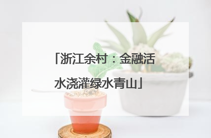 浙江余村：金融活水浇灌绿水青山