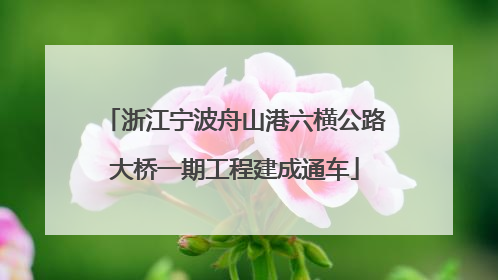 浙江宁波舟山港六横公路大桥一期工程建成通车