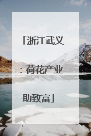 浙江武义：荷花产业助致富
