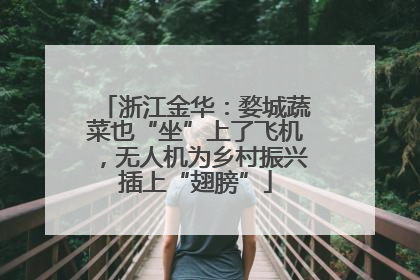 浙江金华：婺城蔬菜也“坐”上了飞机，无人机为乡村振兴插上“翅膀”