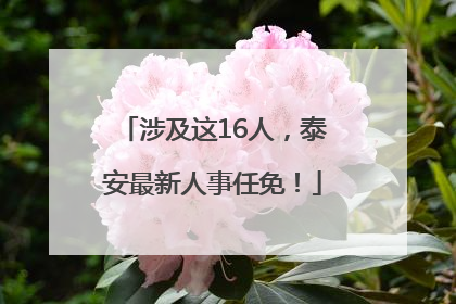 涉及这16人，泰安最新人事任免！