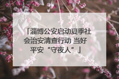 淄博公安启动夏季社会治安清查行动 当好平安“守夜人”