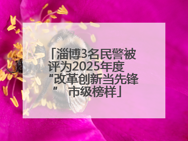 淄博3名民警被评为2025年度“改革创新当先锋” 市级榜样