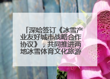 深哈签订《冰雪产业友好城市战略合作协议》，共同推进两地冰雪体育文化旅游高质量发展