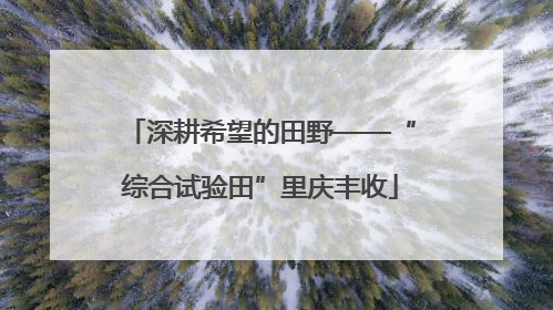 深耕希望的田野——“综合试验田”里庆丰收