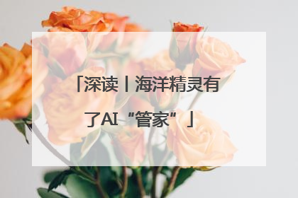 深读丨海洋精灵有了AI“管家”