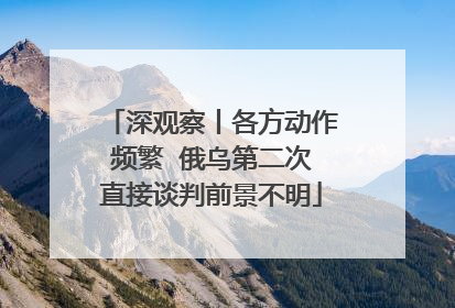 深观察丨各方动作频繁  俄乌第二次直接谈判前景不明