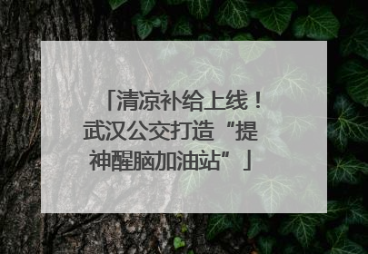 清凉补给上线！武汉公交打造“提神醒脑加油站”